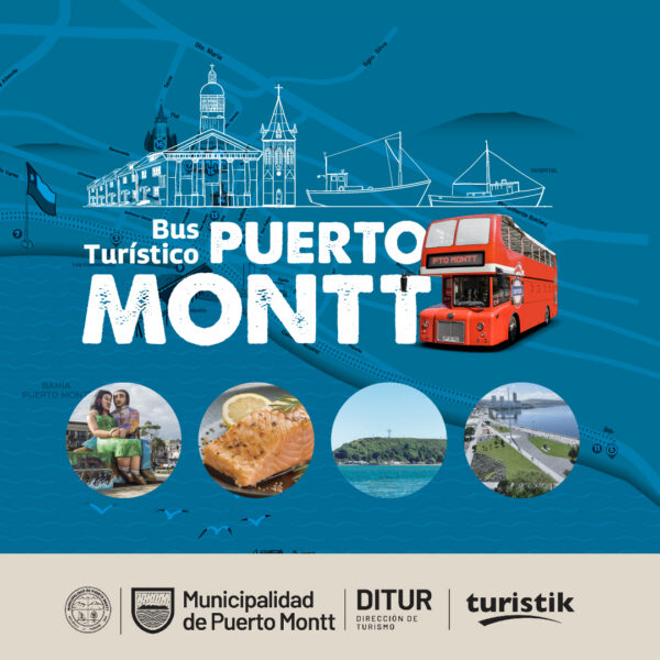 Bus turístico Puerto Montt