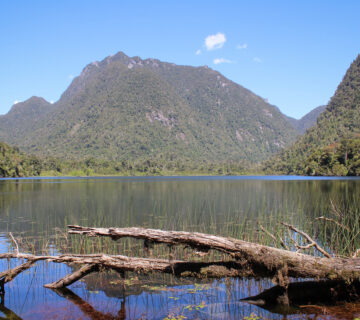 Laguna Fria Parque Nacional Alerce Andino 360x320
