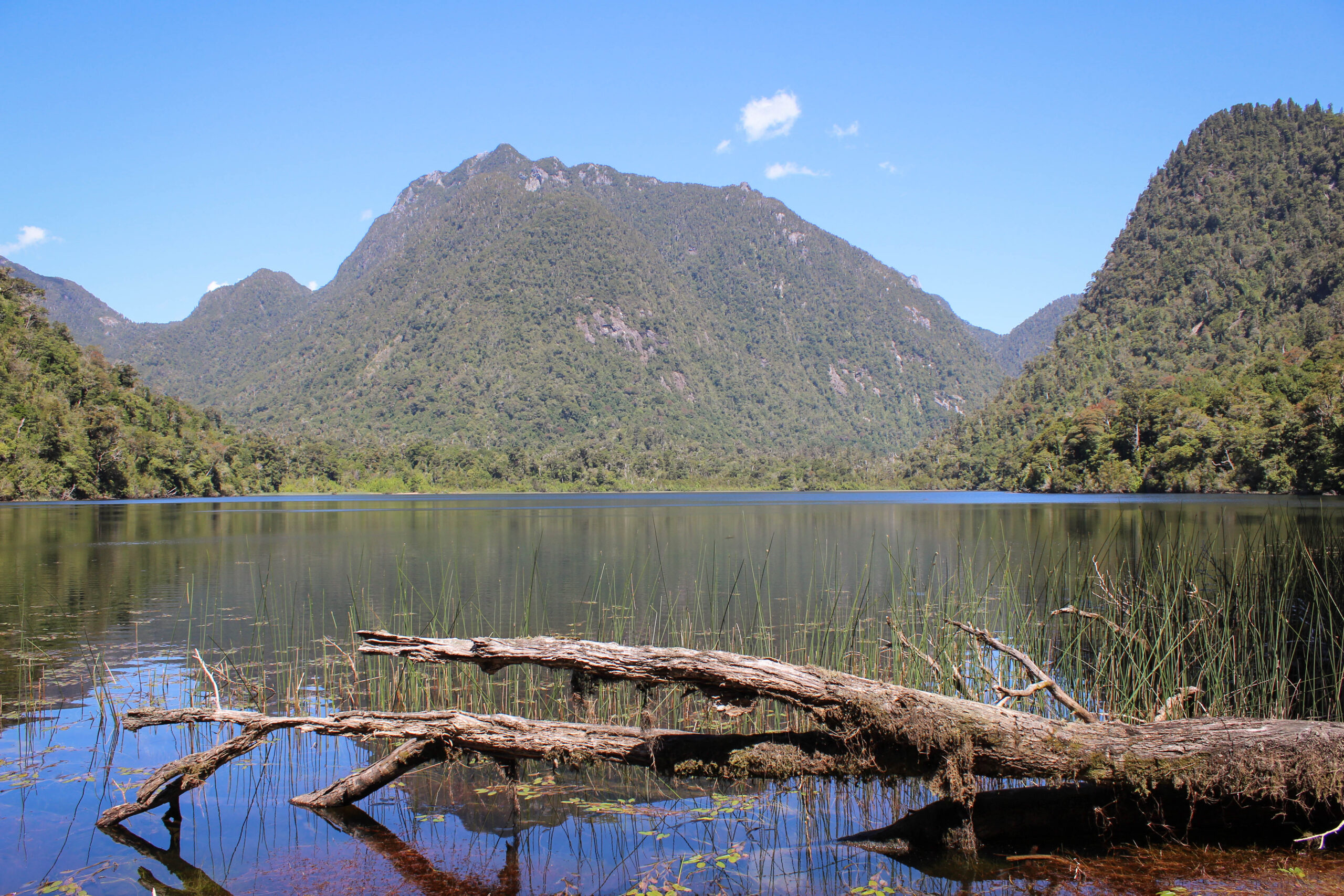 Laguna Fria Parque Nacional Alerce Andino scaled