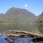 Artboard 1 copy 12 150x150