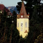 Artboard 1 copy 18 150x150