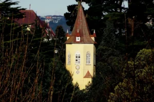 Artboard 1 copy 18 300x200