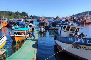 Artboard 1 copy 19 300x200