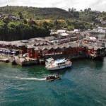 Artboard 1 copy 23 150x150