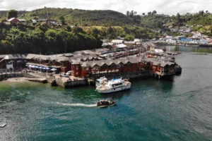 Artboard 1 copy 23 300x200