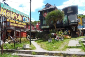 Artboard 1 copy 24 300x200