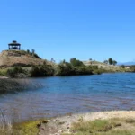 Artboard 1 copy 6 150x150