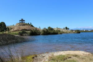 Artboard 1 copy 6 300x200