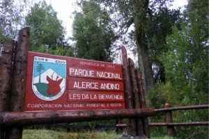 Artboard 1 copy 7 300x200