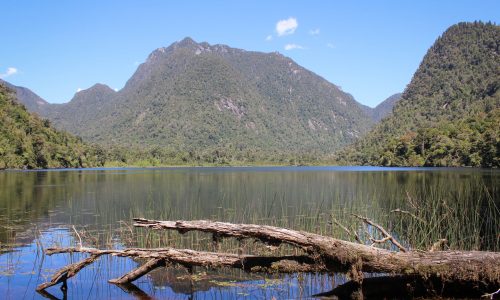 Laguna_Fría_Parque_Nacional_Alerce_Andino
